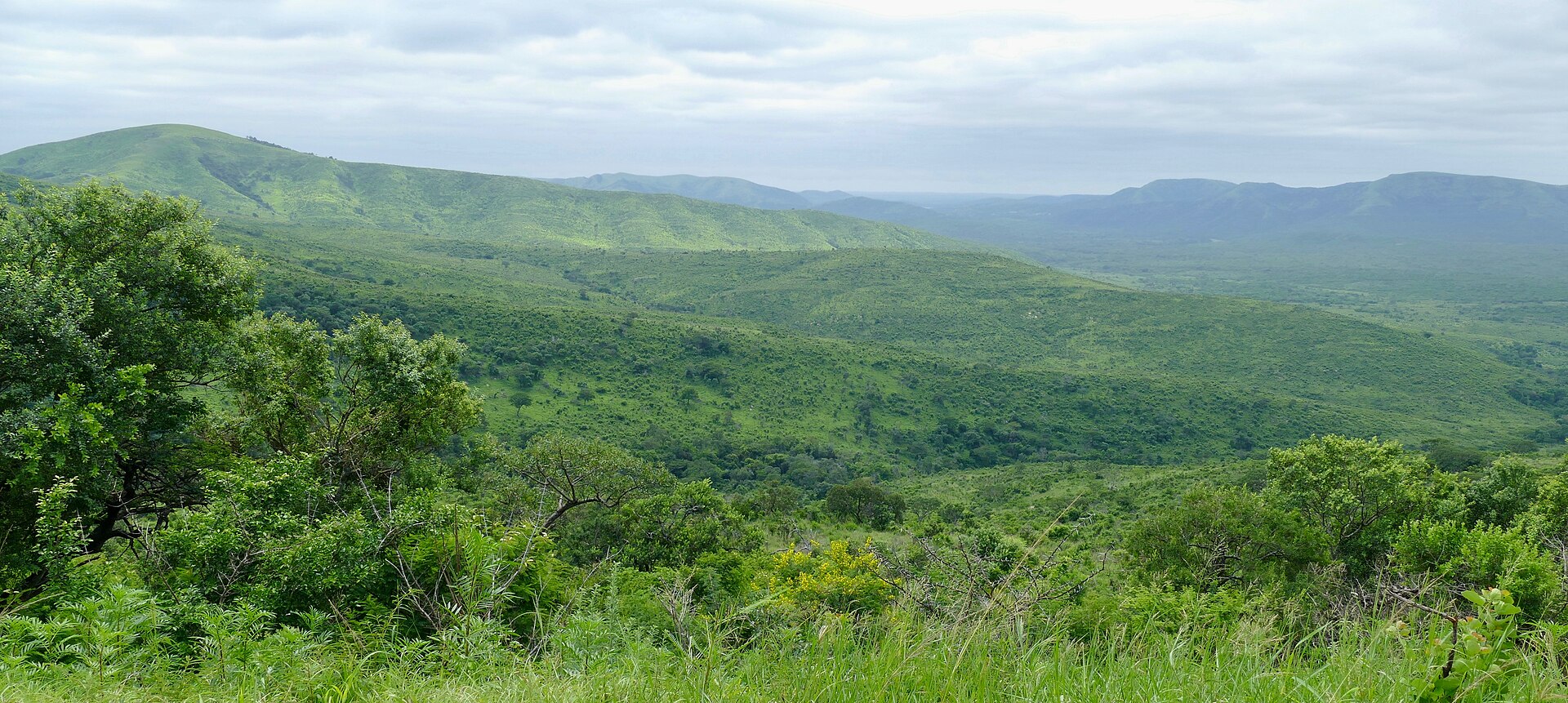 Hluhluwe-iMfolozi Park